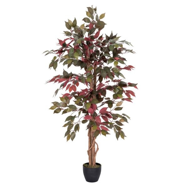 Homescapes Red and Green Artificial Capensia Tree with Real Wood Trunk, 4 Ft