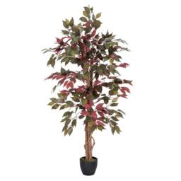 Homescapes Red and Green Artificial Capensia Tree with Real Wood Trunk, 4 Ft