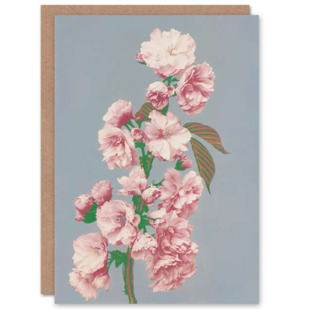 Ogawa Kazumasa Japanese Art Card Cherry Blossom Flower Bloom