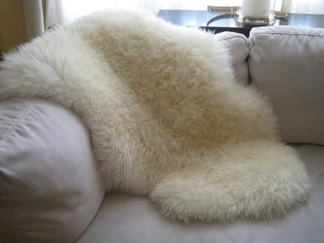 SNUGRUGS Genuine Single Pelt Sheepskin Rug Cream Natural 120cm x 65cm