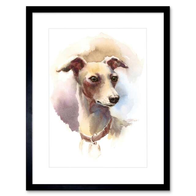 "Dog Italian Greyhound Watercolour 9x7"" Black Framed Wall Art Print"