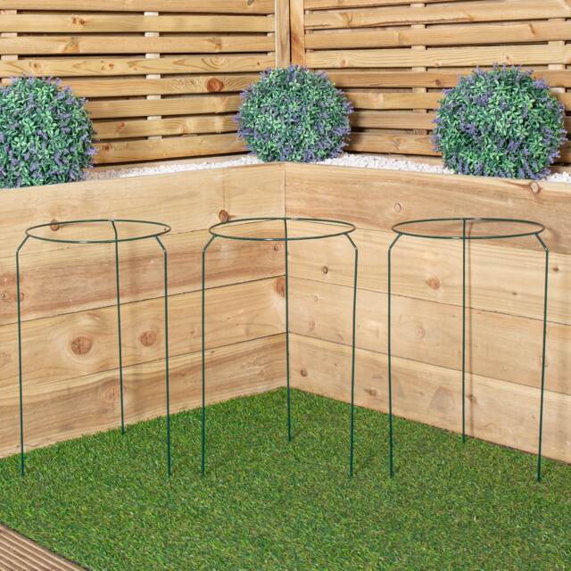 Pack of 3 Tom Chambers Urban Metal Herbaceous Garden Plant Support Ring Medium 30cm x 50cm