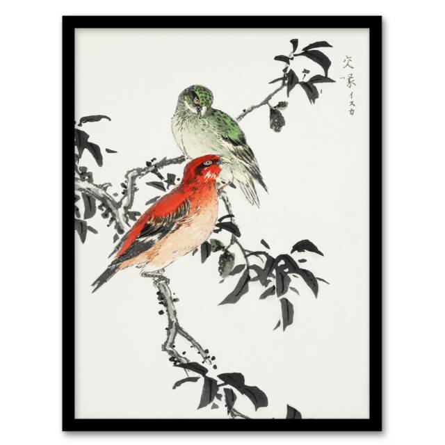 "Crossbill Birds Japanese Vintage Japan Framed Wall Art Print Kashu 12x16"""