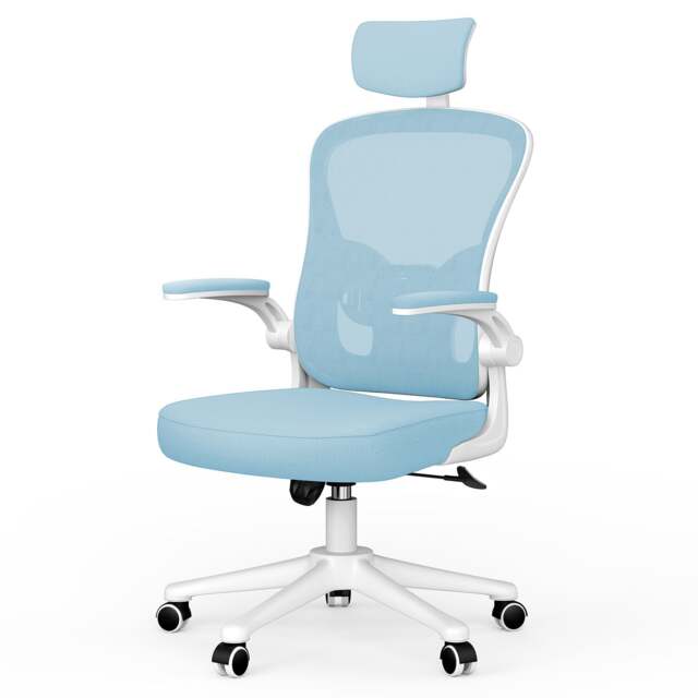 Rattantree Ergonomic Office Chair With Headrest & Lumbar Support