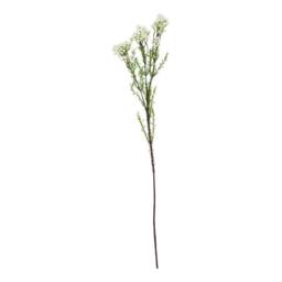 Hill Interiors The Natural Garden Collection Waxflower Artificial Flower - White/Green - One Size