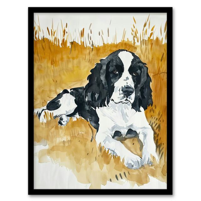 Dog Lover English Springer Spaniel in Wheat Field Black Framed Wall Art Print A4