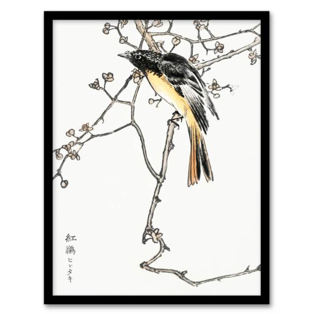 "Siberian Blue Tail Bird Japanese Japanese Framed Wall Art Print Kashu 12x16"""
