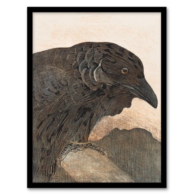 Theo van Hoytema Framed Wall Art Print Old Crow Bird Painting Home Décor