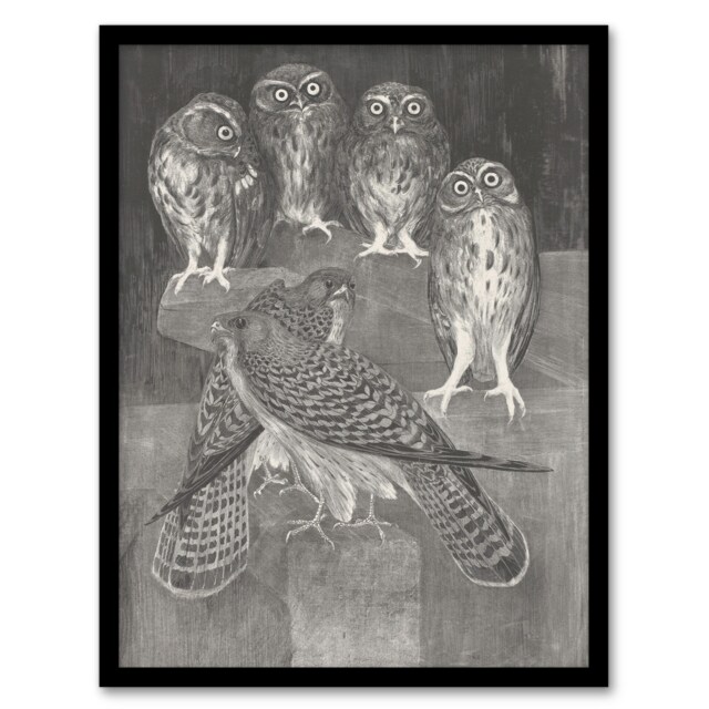 "Four Owls and Two Kestrels Vintage Framed Wall Art Print van Hoytema 12x16"""