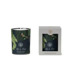 Kew Garden Soy Wax Candle 170g - Fig & Grape KWQ170-C04 (disc) Multi