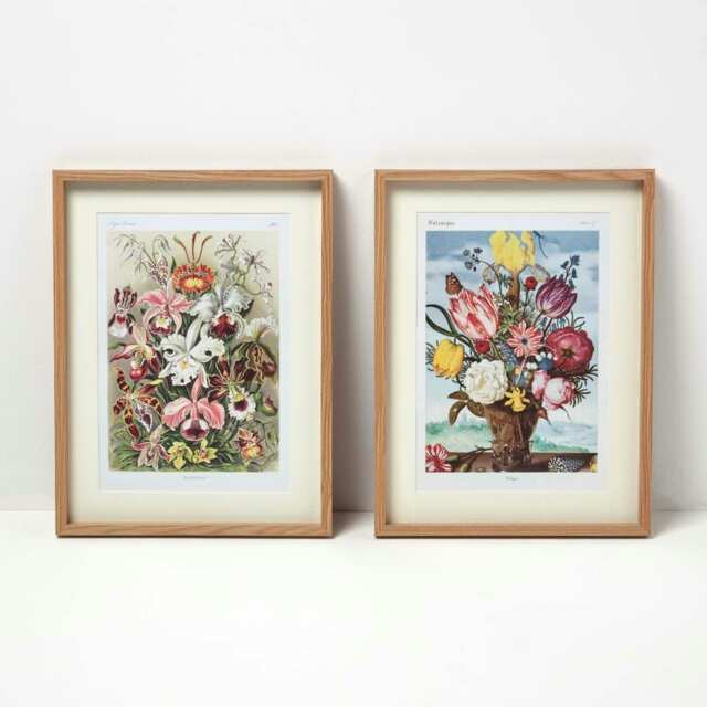 Homescapes Original Wall Decoration Botanical Flowers Set of 2 Decorative Frames