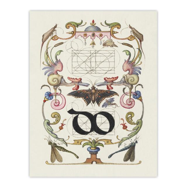 "Ligature Guide with Butterfly Calligraphy Huge Wall Art Poster Print 24X32"""