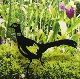 Pheasant - Steel - W41.9 x H33 cm - Powder Coated Black