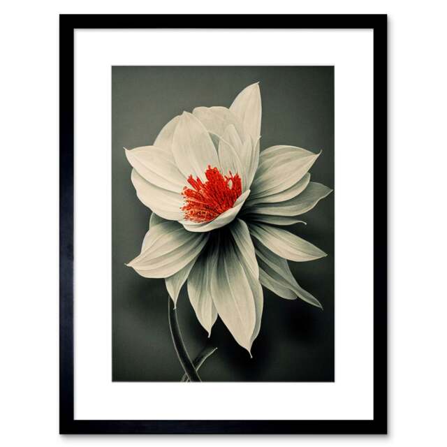 "Realistic Greyscale Macro Flower Floral Bloom Orange Red 9x7"" Black Framed Wall Art Print"