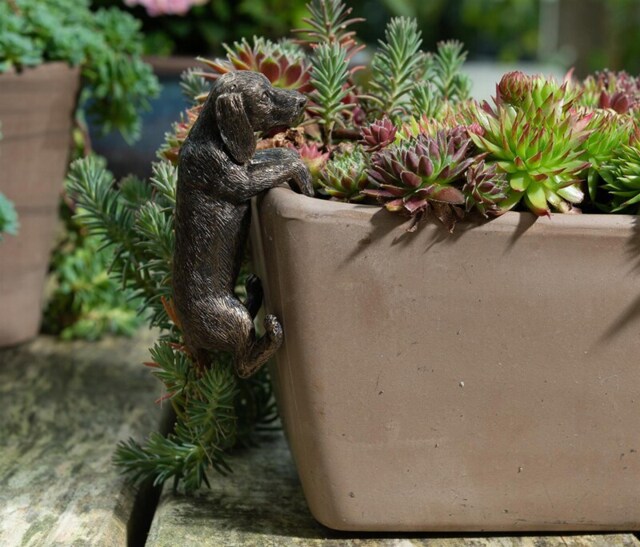 Dachshund Plant Pot Hanger - L10.5 x W5.5 x H5 cm Bronze
