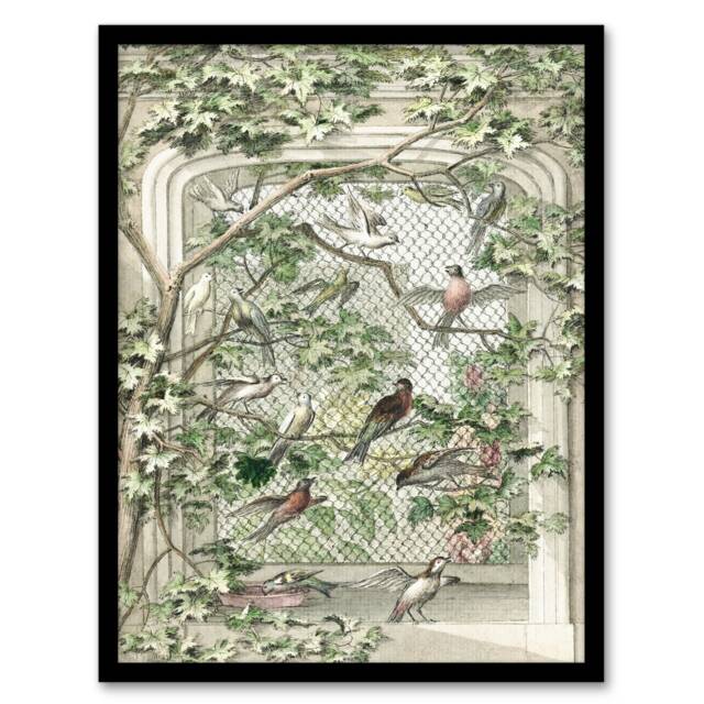 Aert Schouman Framed Wall Art Print Aviary with Fourteen Birds Home Décor