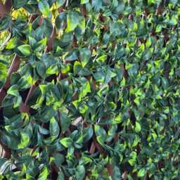 True Products Premium Expanding Trellis Fence - Artificial Gardenia Foliage Garden Wall Screening