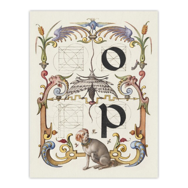 Pictorial Letter Guide O And P Calligraphy Huge Wall Art Print 18X24 In