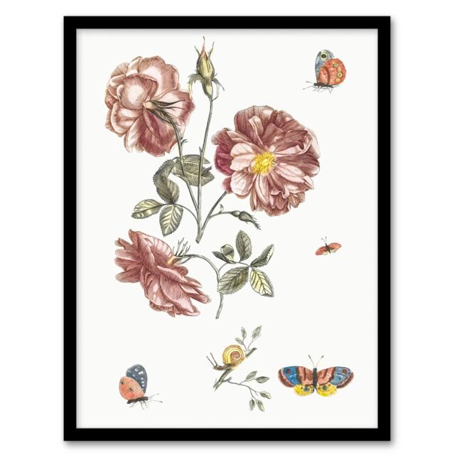 "Rose Flowers Butterflies and a Snail Teyler Framed Wall Art Print 12X16"""