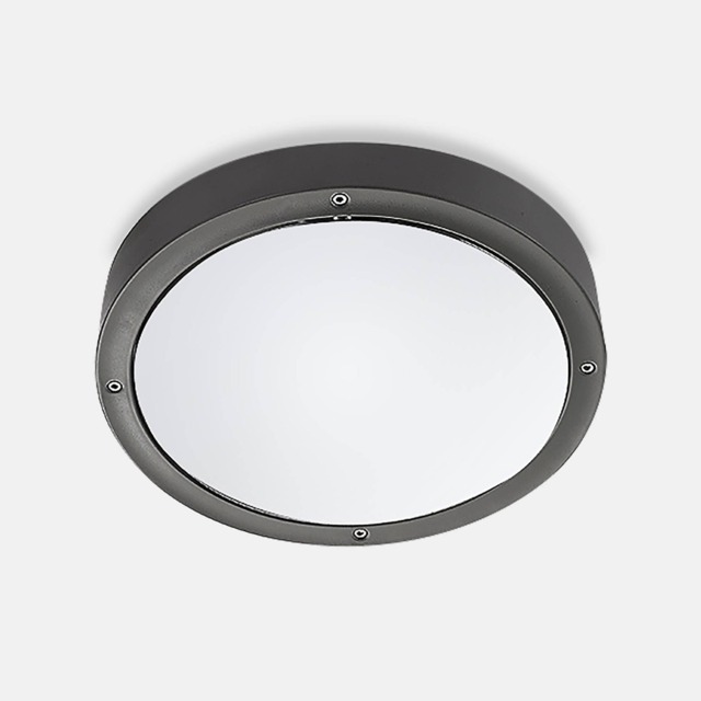 Basic Outdoor LED Round Flush Ceiling Light Aluminium Grey 26cm 1488lm 4000K IP65 - Special Offer