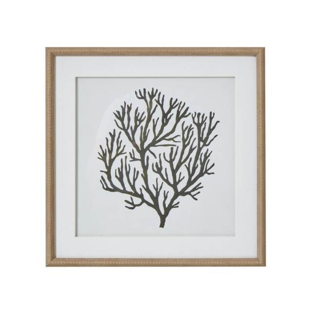 Atol Coral Art Mounted in Beaded Frame - Glass - L2 x W40 x H40 cm - Brown Brown Not provided
