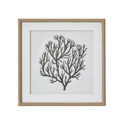 Atol Coral Art Mounted in Beaded Frame - Glass - L2 x W40 x H40 cm - Brown Brown Not provided