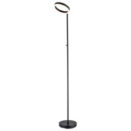 Modern LED Halo Ring Floor Lamp in Matte Black with CCT Dimmer Button
