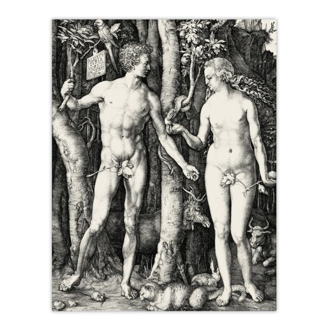 "Adam & Eve Serpent Temptation Albrecht Durer Wall Art Poster Print 12X16"""