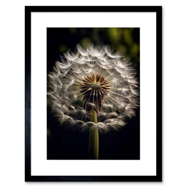 "Dandelion Flower Pappus Dark Close Up Detail 9x7"" Black Framed Wall Art Print"