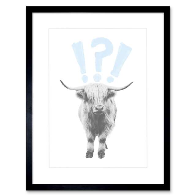 "Scottish Highland Hairy Coo Cow Surprised Design 9x7"" Black Framed Wall Art Print"