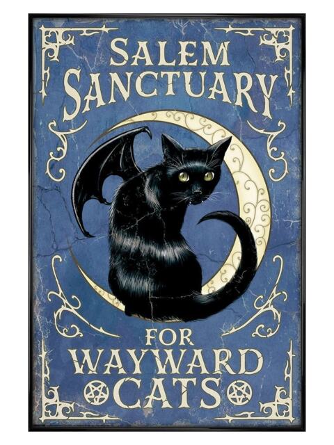 Black Gloss Framed Salem Sanctuary For Wayward Cats Maxi Poster Multi