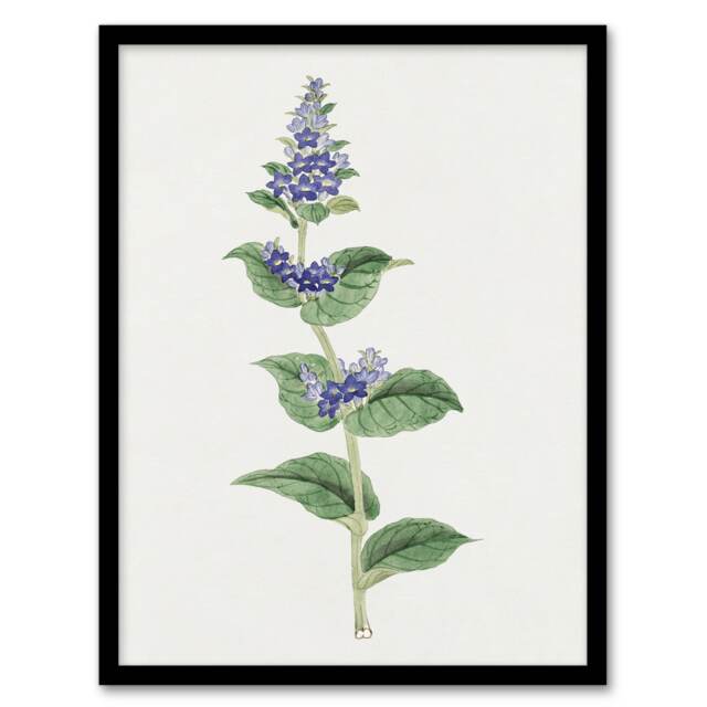"Gentian Flower Framed Wall Art Print Vintage Japanese Botanical 12x16"""