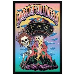 Black Wooden Framed Grateful Dead Bertha UFO Maxi Poster Multi