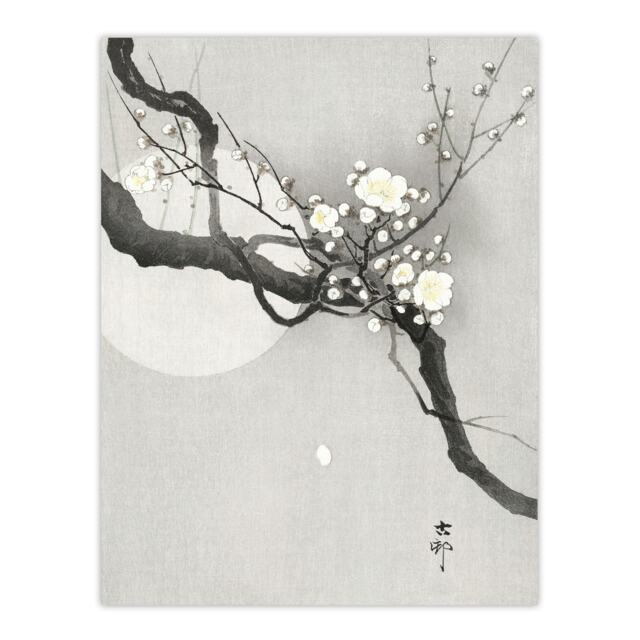 "Plum Blossom And Full Moon Vintage Japan Wall Art Print Koson 12x16"""