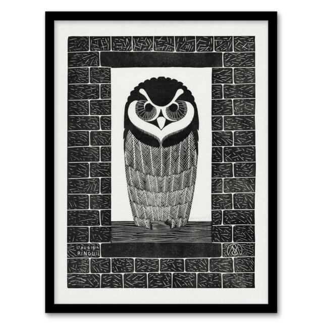 "Ringuil Owl Bird on a Window De Mesquita Framed Wall Art Print 12X16"""