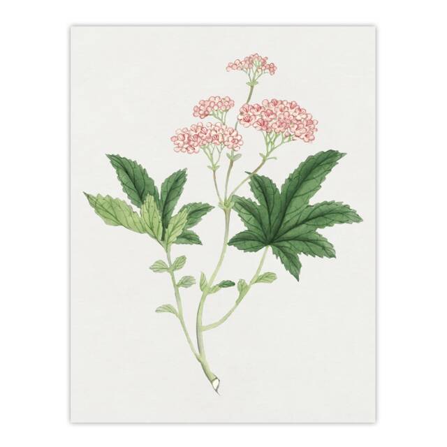 "Shimotsuke Flower Wall Art Print Vintage Japanese Botanical 24x32"""