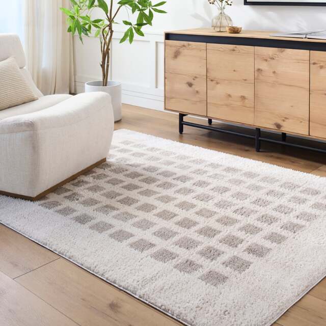 LIVABLISS Fossay Shaggy-Washable Modern High Pile Rug 120 x 170 cm Beige Grey