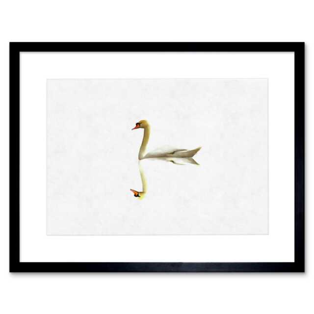 "Lone Swan Bird Lake Reflection Elegant Painting 9x7"" Black Framed Wall Art Print"