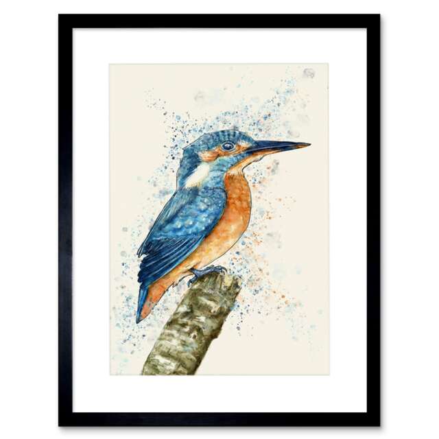 "Kingfisher Watercolour Fishing Bird Home Decor 12x16"" Framed Wall Art Print"