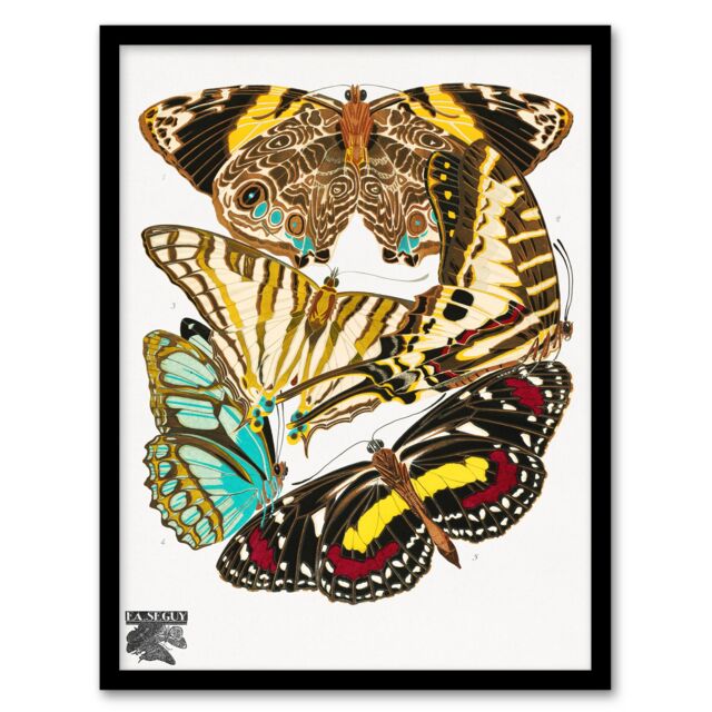 Eugene Seguy Framed Wall Art Print Papillons Butterflies Vintage Home Décor