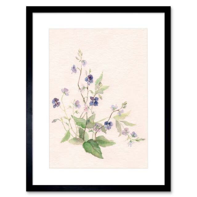 "Elegant Veronica Flowers Plant Lover Watercolour 9x7"" Black Framed Wall Art Print"
