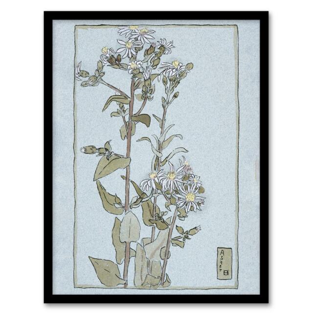 "Aster on Green Ground Vintage Framed Wall Art Print Overbeck 12x16"""