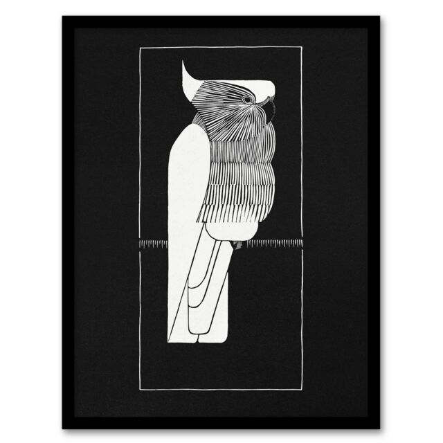 Samuel J De Mesquita Framed Wall Art Sulphur Crested Cockatoo Parrot Home Décor