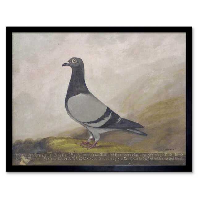 "Painting Animal Pigeon Dove Bird Home Decor 12x16"" Framed Wall Art Print"