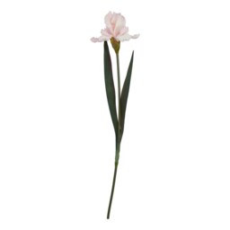 Hill Interiors The Natural Garden Collection Fringed Iris Artificial Flower - Pale Pink - One Size