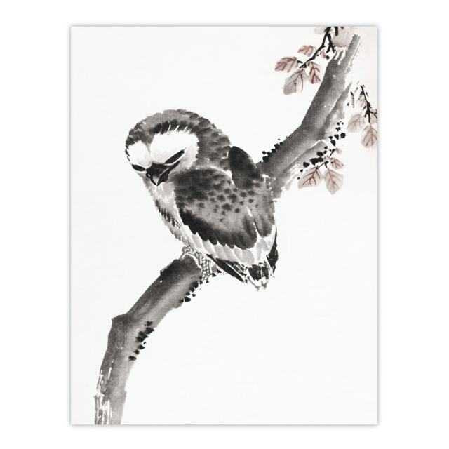 "Owl 1841 Album Of Sketches Japanese Wall Art Print Hokusai 18x24"""