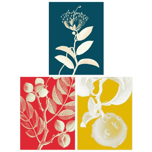 Set of 3 Bright Botanicals Plant Tree Branch Bloom Blue Red Yellow Wall Art Print A4