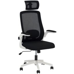 HOMCOM Executive Mesh Office Chair with Headrest, Lumbar Support, Black
