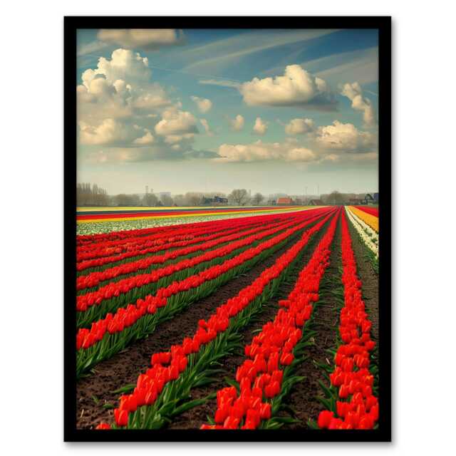 Tulip Fields Sky Holland Modern Living Room Black Framed Wall Art Print A4