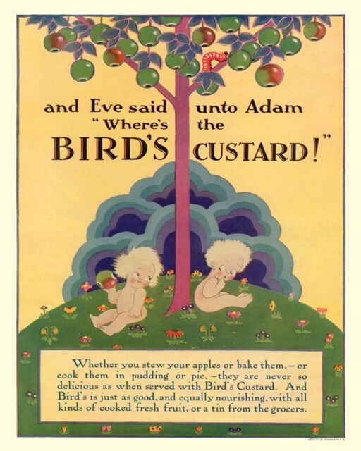 Vintage Metal Sign - Retro Advertising - Birds Custard, Adam & Eve -  - That Home Shop